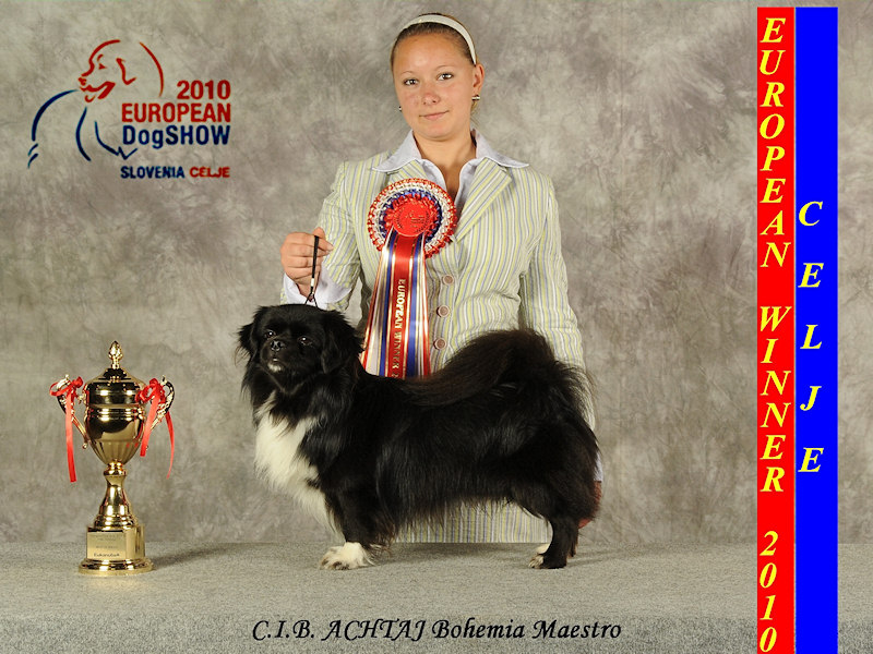 2010 European Dog Show